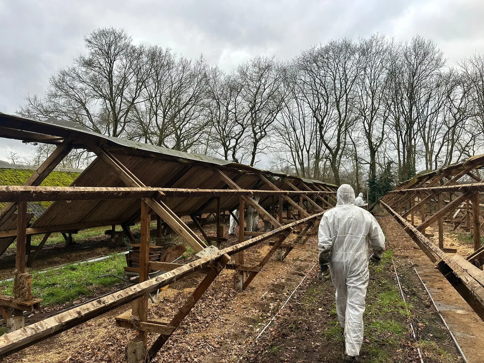 Asbesthoudende golfplaten voor professionele verwijdering