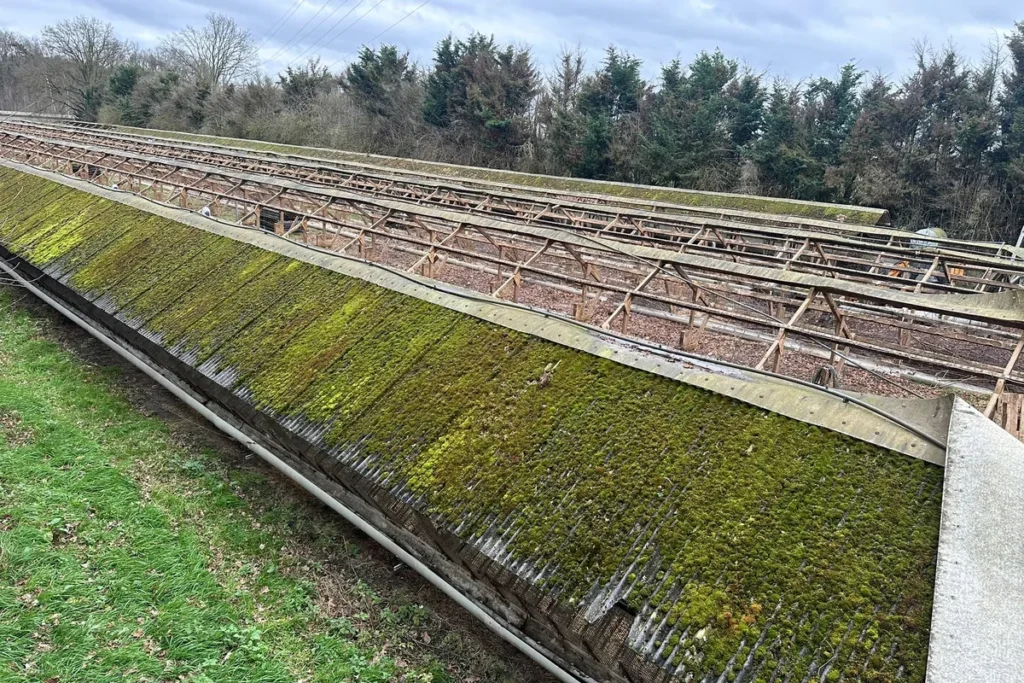 Asbesthoudende golfplaten voor verwijdering