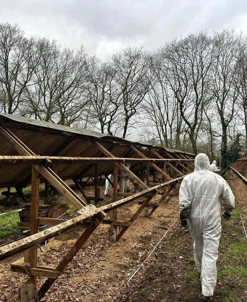 Veilige uitvoering van asbestverwijdering
